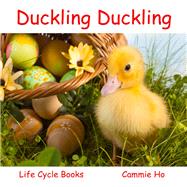 Duckling Duckling 9781943241002