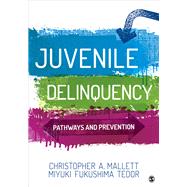 Juvenile Delinquency 9781506361024