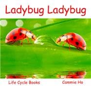 Ladybug Ladybug 9781943241026