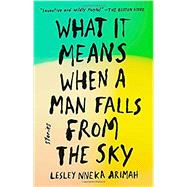 What It Means When a Man Falls from the Sky 9780735211032