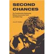 Second Chances