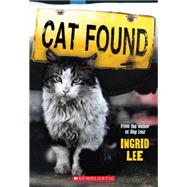 Cat Found