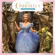 Cinderella: A Night at the Ball 9781484711118