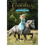 Cinderella Junior Novel 9781484711132