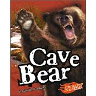 Cave Bear