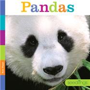Pandas 9781628321142