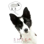 Sheep 9780312561161