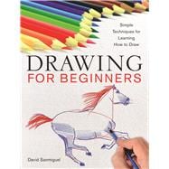 Drawing for Beginners Simple Techniques for Learning How to 