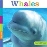 Whales 9781628321173