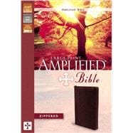 The Amplified Bible 9780310421184