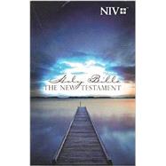 New Testament: New International Version, Outreach, Blue Pier 9781563201196