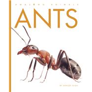 Ants