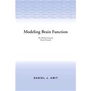 Modeling Brain Function