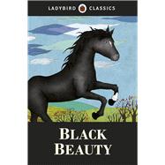 Black Beauty 9781409311249