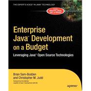 Enterprise Java Development on a Budget