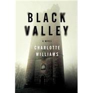 Black Valley 9780062371263
