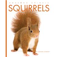 Squirrels