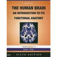 The Human Brain 9780323041317