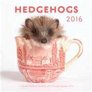 Hedgehogs 2016 Calendar 9781631061332