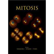 Mitosis