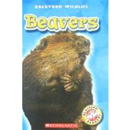 Beavers
