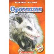 Opossums
