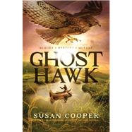 Ghost Hawk 9781442481411