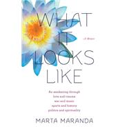 What It Looks Like: An Awakening Through Love and Trauma, War and Music, Sports and History, Politics and Spirituality 9780985781422