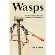 Wasps