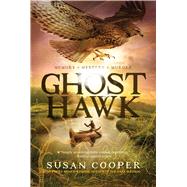 Ghost Hawk 9781442481428