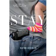 Stay A Novel 9781250041517