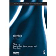 Ecomedia: Key Issues