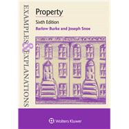 Examples & Explanations for Property 9781454891536