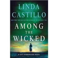 Among the Wicked A Kate Burkholder Novel 9781250061577