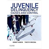Juvenile Delinquency Causes and Control 9780190641610