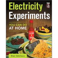 Electricity Experiments You Can Do At Home 9780071621649