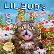 Lil Bub 2017 Wall Calendar 9781419721656