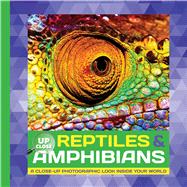 Reptiles & Amphibians 9781633221666