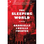 The Sleeping World A Novel 9781501131677