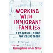 Working With Immigrant Families: A Practical Guide for Counselors 9781138881679