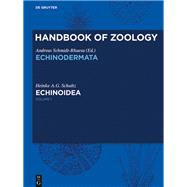Echinoidea