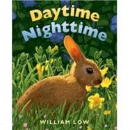 Daytime Nighttime 9781627791724