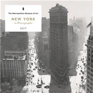 New York in Photographs 2017 Mini Wall Calendar 9781419721755