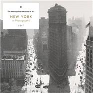 New York in Photographs 2017 Wall Calendar 9781419721762