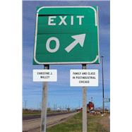 Exit Zero: Family and Class in Postindustrial Chicago 9780226871806
