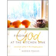 Finding God at the Kitchen Sink Search for Glory in the Everyday Grime 9780802411808