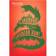 Mr. Splitfoot 9780544811812