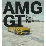 Mercedes-AMG GT 9783667101815