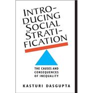 Introducing Social Stratification: The Causes and Consequences of Inequality 9781626371835