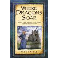 Where Dragons Soar 9780750961868